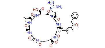 (D-Asp3,D-MeO-Glu6)-Microcystin-LR