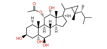 11a-Acetoxy-gorgostane-3b,5a,6b,12a-tetraol