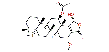 12-O-Acetyl-16-O-methylhyrtiolide