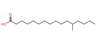 12-Methylhexadecanoic acid