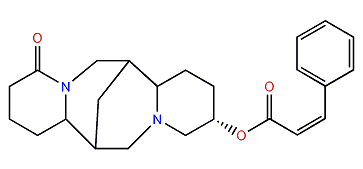 13alpha-cis-Cinnamoyloxylupanine