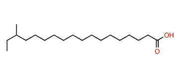 16-Methyloctadecanoic acid