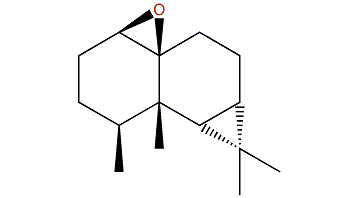 1b,10b-Epoxyaristolane