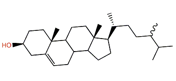 (24xi)-24-Methylcholest-5-en-3b-ol
