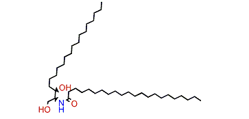 (2S,3R)-2-(Docosanoylamino)-nonadecane-1,3-diol
