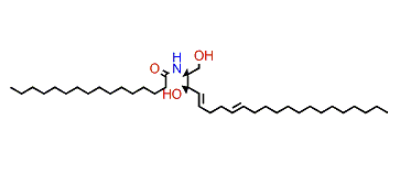 (2S,3R,4E,8E)-N-Hexadecanoyl-2-amino-4,8-docosadiene-1,3-diol