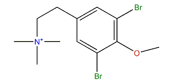 3,5-Dibromo-N,N,N,O-tetramethyltyraminium