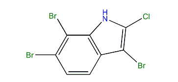 3,6,7-Tribromo-2-chloro-1H-indole