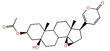 3-O-Acetylmarinobufagin