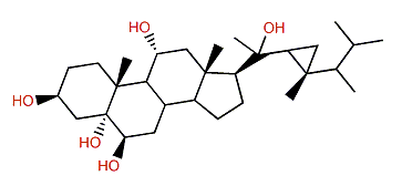3b,5a,6b,11a,20b-Pentahydroxygorgosterol