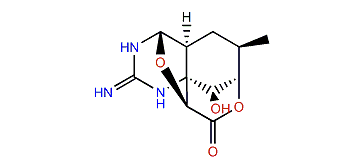 4,9-Anhydro-5,6,11-trideoxytetrodotoxin