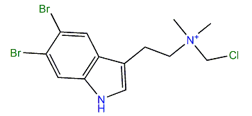 5,6-Dibromo-N-chloromethyl-N,N-dimethyltryptammonium