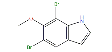 5,7-Dibromo-6-methoxy-1H-indole