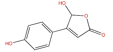 5-Hydroxy-4-(4-hydroxyphenyl)-2(5H)-furanone