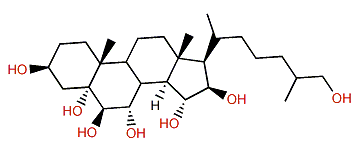 5a-Cholestane-3b,5,6b,7a,15a,16b,26-heptol