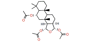 6a,15a,16a-Triacetoxyspongian