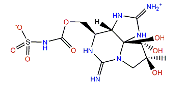 11b-Hydroxy-N-sulfocarbamoylsaxitoxin