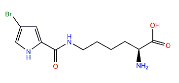 N6-(4-Bromo-1H-pyrrole-2-carbonyl)-lysine