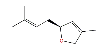 (S)-2,5-Dihydro-4-methyl-2-(3-methylbut-2-enyl)-furan