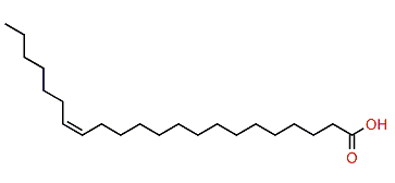 (Z)-15-Docosenoic acid
