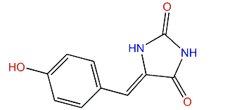 (Z)-5-(4-Hydroxybenzylidene)-imidazolidine-2,4-dione