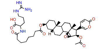 3-(N-Suberoyl argininyl)-cinobufagin