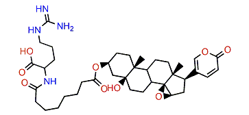 3-(N-Suberoyl argininyl)-marinobufagin