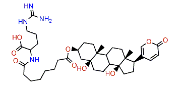 3-(N-Suberoyl argininyl)-telocinobufagin