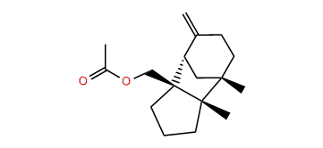 (+)-12-Acetoxygymnomitr-3(15)-ene