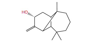 (-)-4-epi-Marsupellol