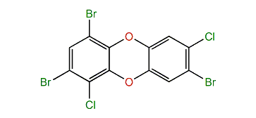 1,3,7-Tribromo-4,8-dichlorodibenzo-p-dioxin