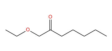 1-Ethoxy-heptan-2-one