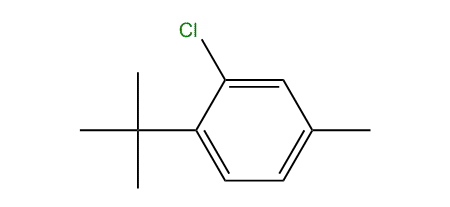 1-tert-Butyl-2-chloro-4-methylbenzene