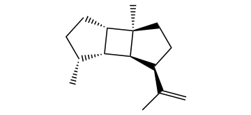 Bourbon-11-ene