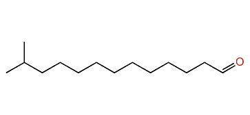 12-Methyltridecanal