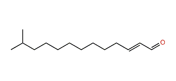 12-Methyl-2-tridecenal