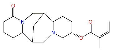 13alpha-Angelolyoxylupanine