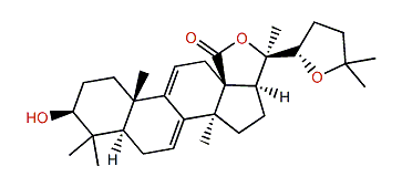 17-Deoxy-22,25-epoxyholothurinogenin