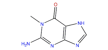 1-Methylguanine