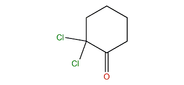 2,2-Dichlorocyclohexanone