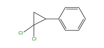 (2,2-Dichlorocyclopropyl)-benzene