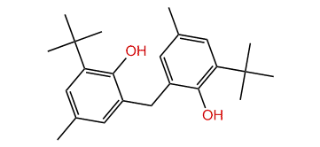 2,2-Methylene-bis(6-t-butyl-4-methylphenol)