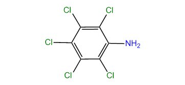 2,3,4,5,6-Pentachloroaniline