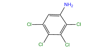 2,3,4,5-Tetrachloroaniline