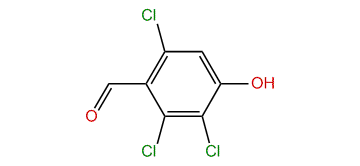 2,3,6-Trichloro-4-hydroxybenzaldehyde