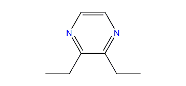 2,3-Diethylpyrazine