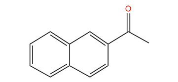 2-Acetonaphthone