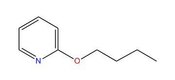 2-Butoxypyridine