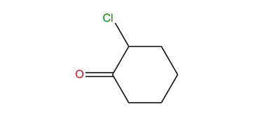 2-Chlorocyclohexanone