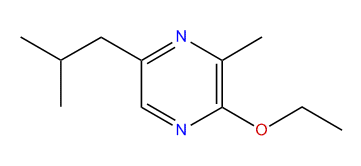 2-Ethoxy-5-isobutyl-3-methylpyrazine